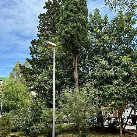 Casa Repasi Daire *