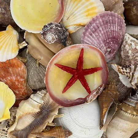 Casa Repasi Sferracavallo